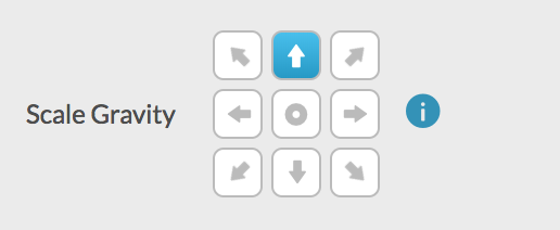 Scale Gravity Options