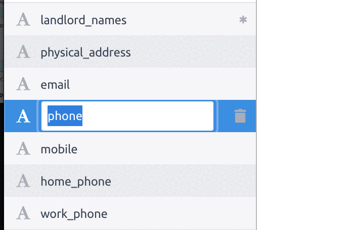 Field name being edited in the left sidebar after a double-click