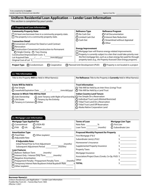 Preview of Uniform Residential Loan Application: Lender Loan Information (Fannie Mae Form 1003)