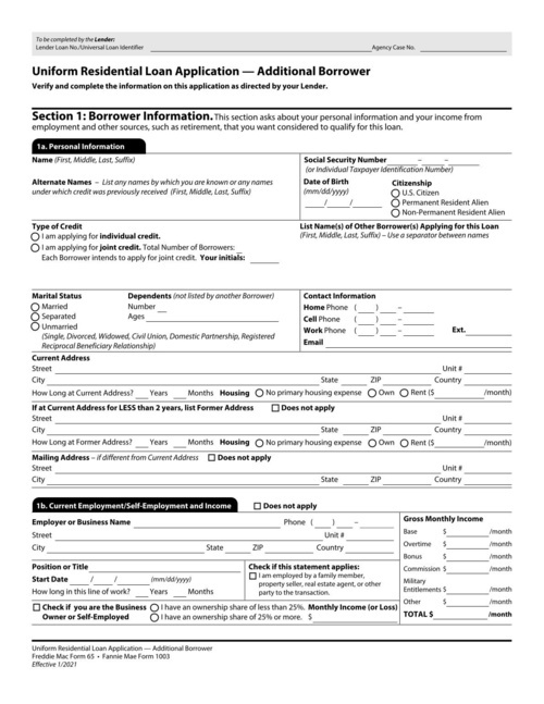 Preview of Uniform Residential Loan Application: Additional Borrower (Fannie Mae Form 1003)