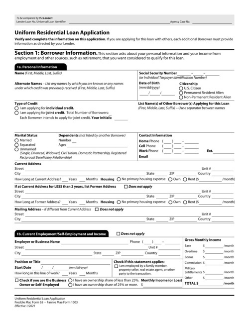 Preview of Uniform Residential Loan Application (Fannie Mae Form 1003)